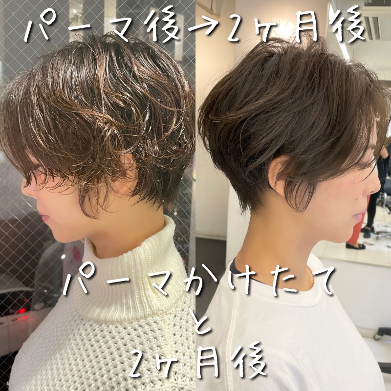 ショートパーマの周期 Hiroo Salon Blog Toni Guy Hairdressing