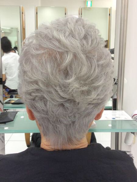 Part 白髪をもっと綺麗にグレイカラーに Odawara Salon Blog