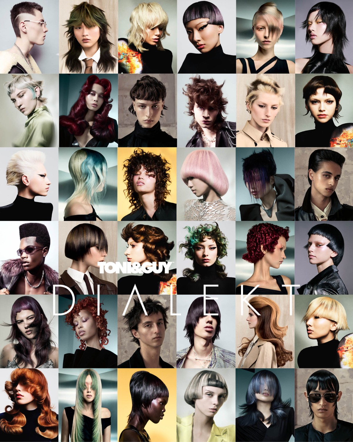 CREATIVE CUTTING & COLOURING COURSE